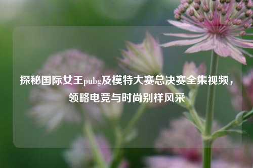 探秘国际女王pubg及模特大赛总决赛全集视频，领略电竞与时尚别样风采