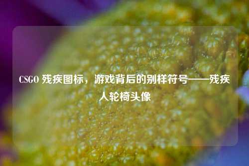 CSGO 残疾图标,游戏背后的别样符号——残疾人轮椅头像