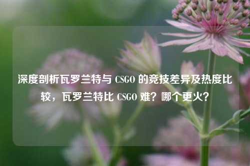 深度剖析瓦罗兰特与 CSGO 的竞技差异及热度比较，瓦罗兰特比 CSGO 难？哪个更火？
