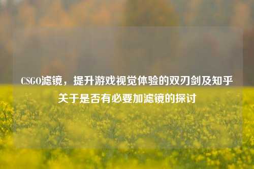 CSGO滤镜,提升游戏视觉体验的双刃剑及知乎关于是否有必要加滤镜的探讨