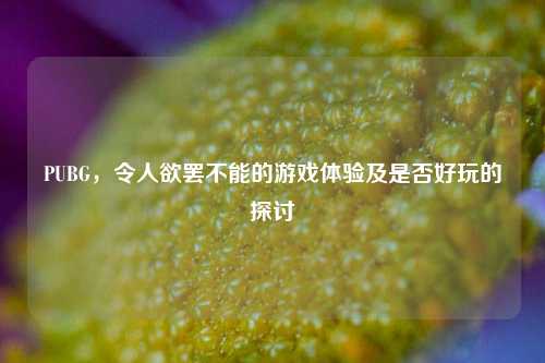 PUBG，令人欲罢不能的游戏体验及是否好玩的探讨