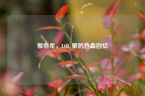 那些年，LOL 里的热血回忆