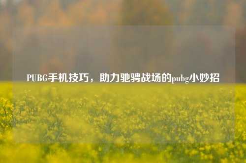 PUBG手机技巧，助力驰骋战场的pubg小妙招