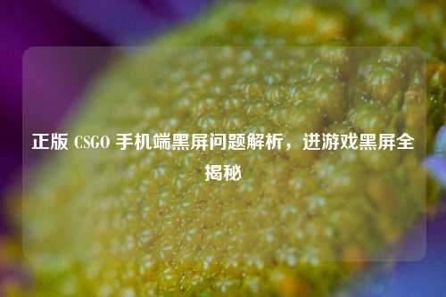 正版 CSGO 手机端黑屏问题解析，进游戏黑屏全揭秘