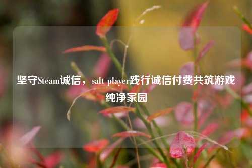 坚守Steam诚信，salt player践行诚信付费共筑游戏纯净家园