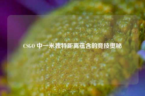 CSGO 中一米独特距离蕴含的竞技奥秘