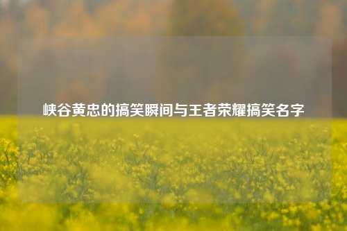 峡谷黄忠的搞笑瞬间与王者荣耀搞笑名字