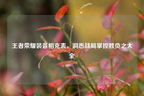 王者荣耀装备相克表,洞悉战局掌控胜负之大全