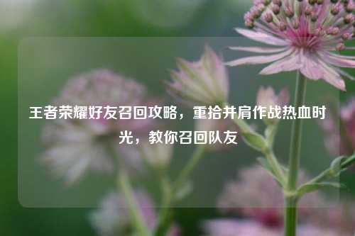 王者荣耀好友召回攻略，重拾并肩作战热血时光，教你召回队友