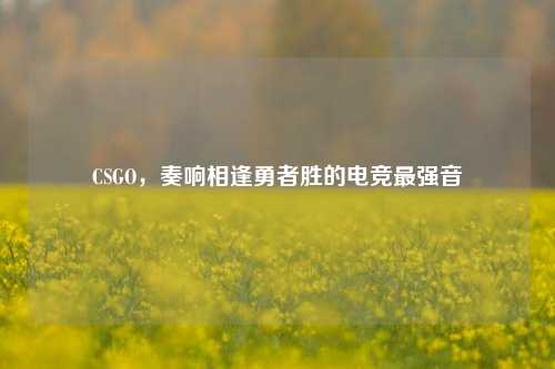 CSGO，奏响相逢勇者胜的电竞最强音