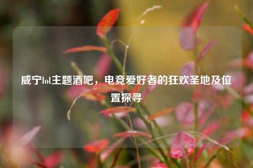 威宁lol主题酒吧，电竞爱好者的狂欢圣地及位置探寻