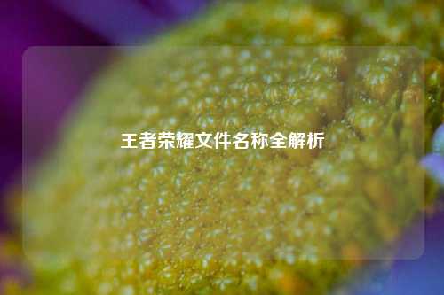 王者荣耀文件名称全解析