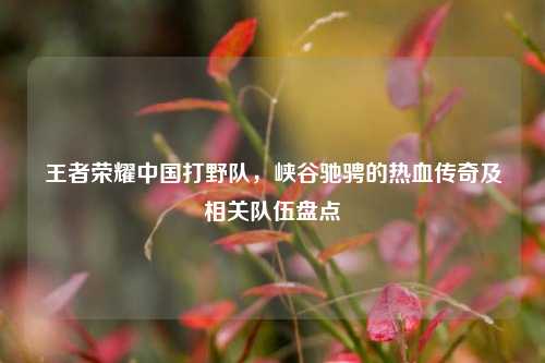 王者荣耀中国打野队,峡谷驰骋的热血传奇及相关队伍盘点