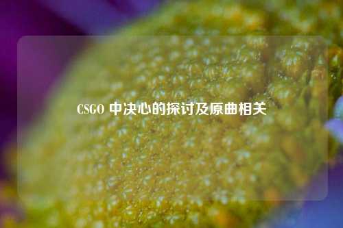 CSGO 中决心的探讨及原曲相关