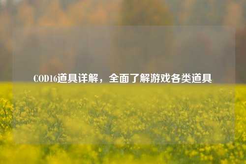 COD16道具详解，全面了解游戏各类道具