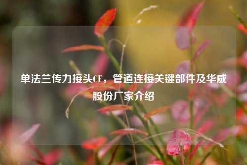 单法兰传力接头CF，管道连接关键部件及华威股份厂家介绍