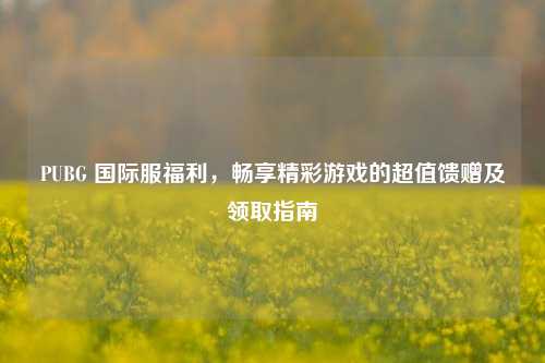 PUBG 国际服福利，畅享精彩游戏的超值馈赠及领取指南