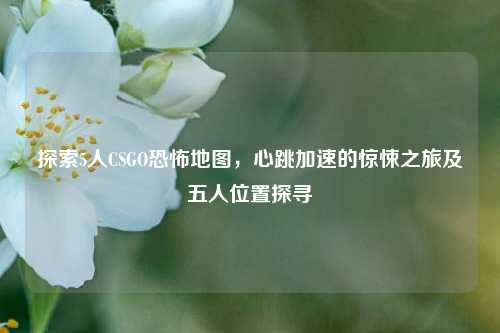 探索5人CSGO恐怖地图，心跳加速的惊悚之旅及五人位置探寻