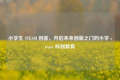 小学生 STEAM 创客，开启未来创新之门的小学 steam 科创教育
