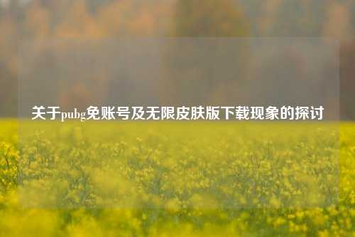 关于pubg免账号及无限皮肤版下载现象的探讨