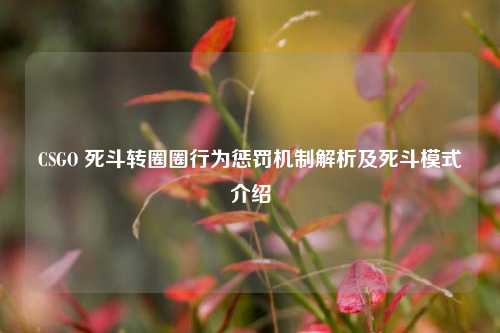 CSGO 死斗转圈圈行为惩罚机制解析及死斗模式介绍