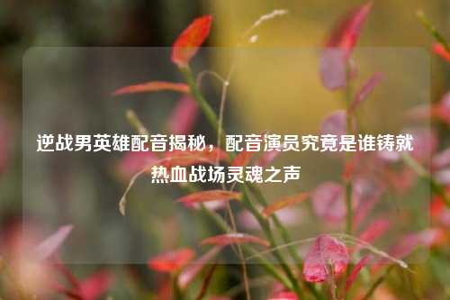 逆战男英雄配音揭秘，配音演员究竟是谁铸就热血战场灵魂之声