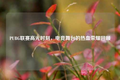 PUBG联赛高光时刻，电竞舞台的热血荣耀回顾