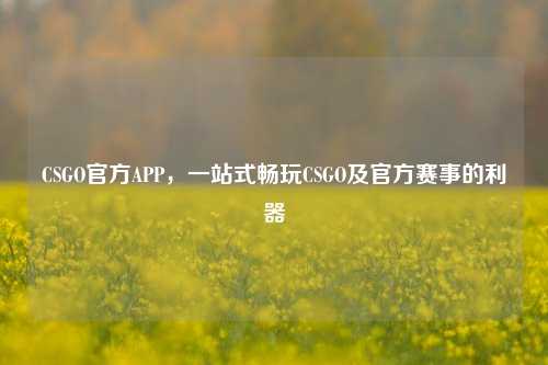 CSGO官方APP，一站式畅玩CSGO及官方赛事的利器