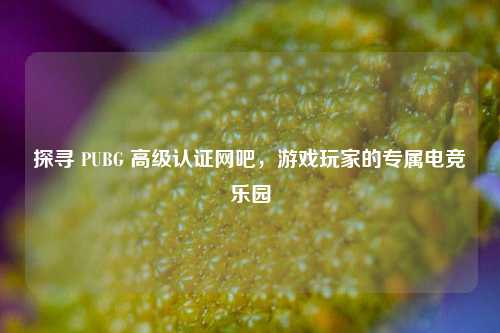 探寻 PUBG 高级认证网吧，游戏玩家的专属电竞乐园