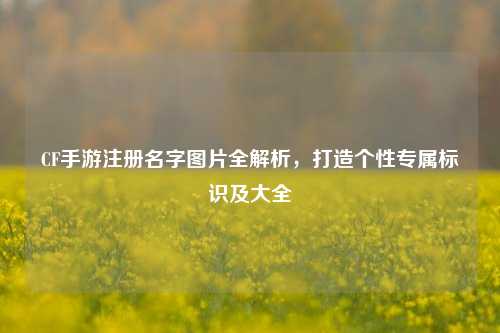 CF手游注册名字图片全解析，打造个性专属标识及大全