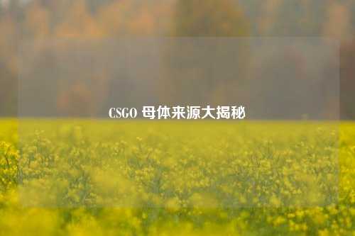 CSGO 母体来源大揭秘