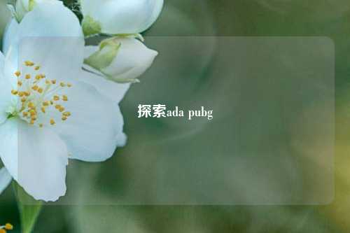 探索ada pubg