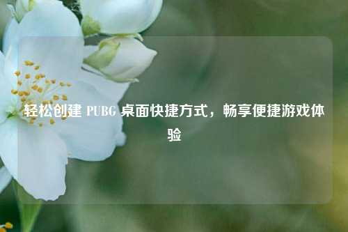 轻松创建 PUBG 桌面快捷方式,畅享便捷游戏体验