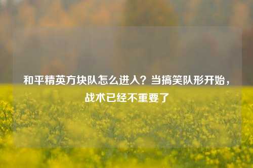 和平精英方块队怎么进入?当搞笑队形开始,战术已经不重要了