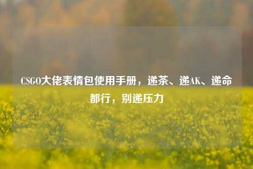 CSGO大佬表情包使用手册，递茶、递AK、递命都行，别递压力