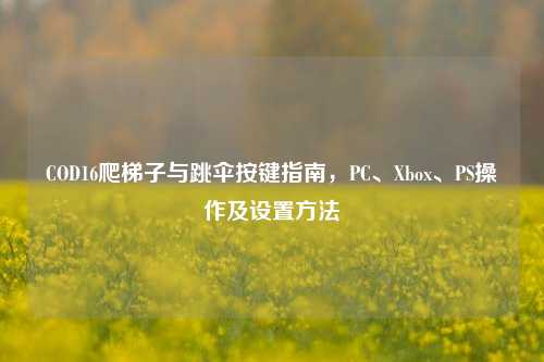 COD16爬梯子与跳伞按键指南,PC、Xbox、PS操作及设置方法