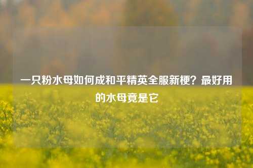 一只粉水母如何成和平精英全服新梗?最好用的水母竟是它