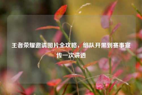 王者荣耀邀请图片全攻略,组队开黑到赛事宣传一次讲透