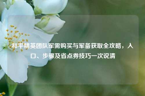 和平精英团队军需购买与军备获取全攻略,入口、步骤及省点券技巧一次说清