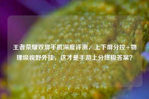 王者荣耀双屏手机深度评测，上下屏分控+物理级视野外挂，这才是手游上分终极答案？