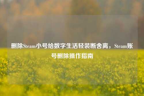 删除Steam小号给数字生活轻装断舍离,Steam账号删除操作指南