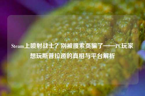 Steam上喷射战士?别被搜索页骗了——PC玩家想玩斯普拉遁的真相与平台解析