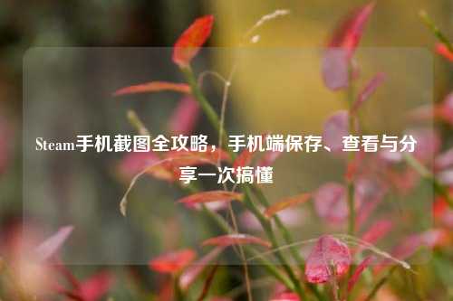 Steam手机截图全攻略,手机端保存、查看与分享一次搞懂