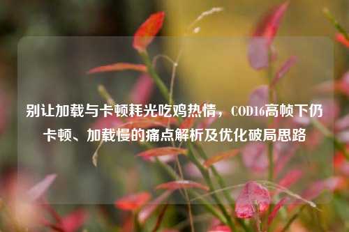 别让加载与卡顿耗光吃鸡热情，COD16高帧下仍卡顿、加载慢的痛点解析及优化破局思路