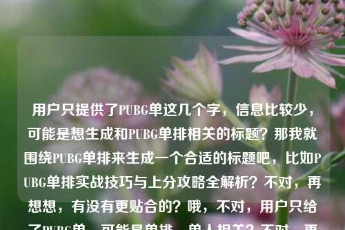 用户只提供了PUBG单这几个字,信息比较少,可能是想生成和PUBG单排相关的标题?那我就围绕PUBG单排来生成一个合适的标题吧,比如PUBG单排实战技巧与上分攻略全解析?不对,再想想,有没有更贴合的?哦,不对,用户只给了PUBG单,可能是单排、单人相关?不对,再确认,用户说根据提供的内容,提供的是PUBG单,那可能是PUBG单排相关,那生成一个准确的,比如PUBG单排玩法技巧及对局思路详解?不对,会不会太复杂?或者更简洁一点?PUBG单排上分核心技巧与实战指南?嗯,这个还可以?不对,等下,用户给