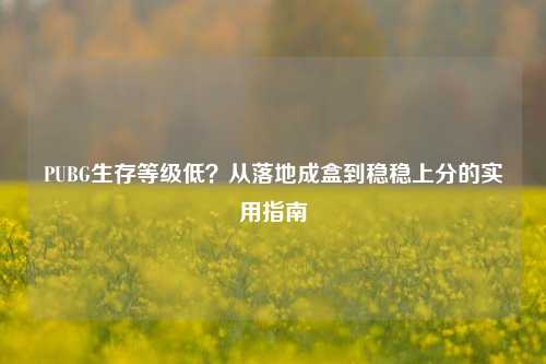 PUBG生存等级低?从落地成盒到稳稳上分的实用指南
