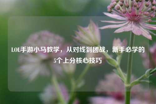 LOL手游小马教学，从对线到团战，新手必学的5个上分核心技巧