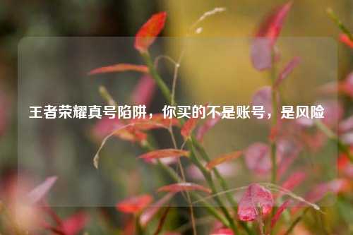 王者荣耀真号陷阱,你买的不是账号,是风险
