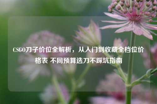 CSGO刀子价位全解析,从入门到收藏全档位价格表 不同预算选刀不踩坑指南