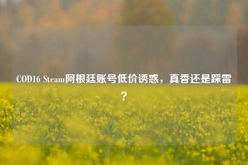 COD16 Steam阿根廷账号低价诱惑,真香还是踩雷?